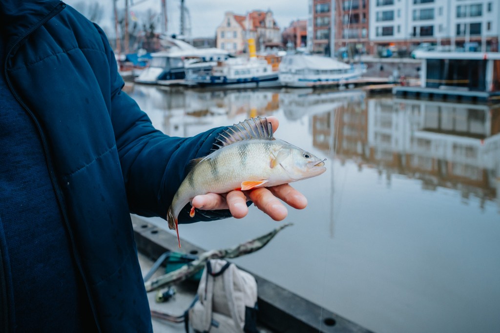 难忘的周末：在格但斯克庆祝家庭与传统