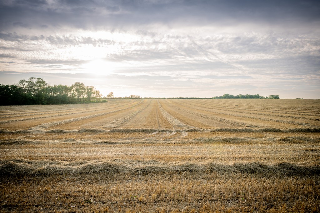 从英国前往法国旅行的趣味指南——第戎篇！