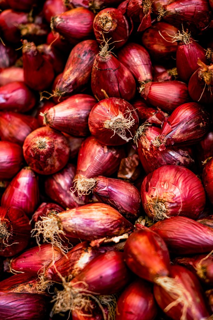 Tropea red onions, Calabria